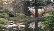 IMG_8867.jpg