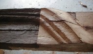 photo-01.JPG
