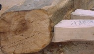 photo-09.JPG